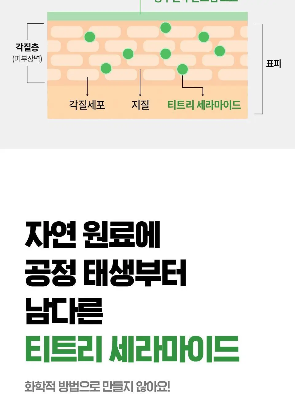 [수분엔젤광] 아이소이 모이스춰 닥터 장수진 수분크림 50ml 1+1 기획 (+20ml) 상세페이지 11